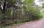 Land/Lot