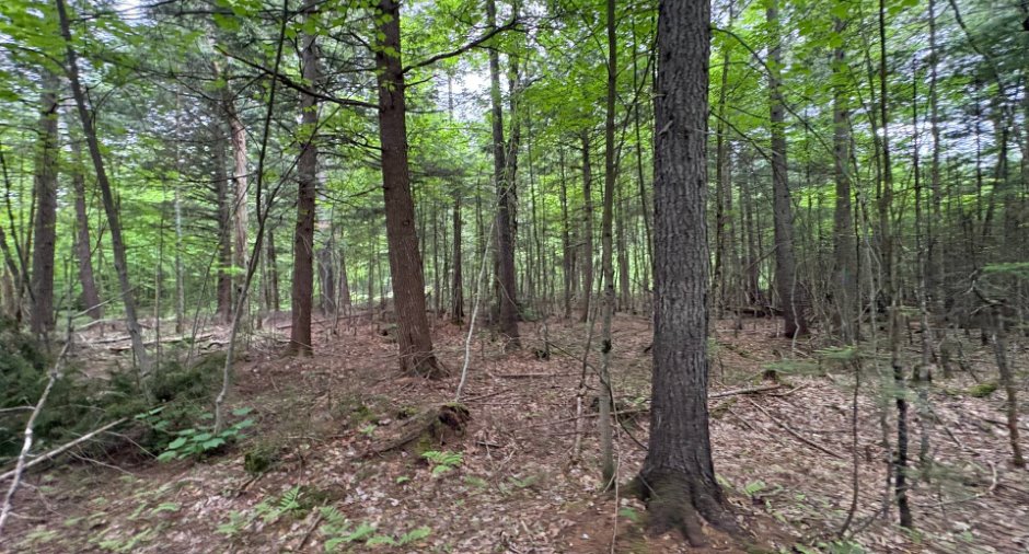 Land/Lot