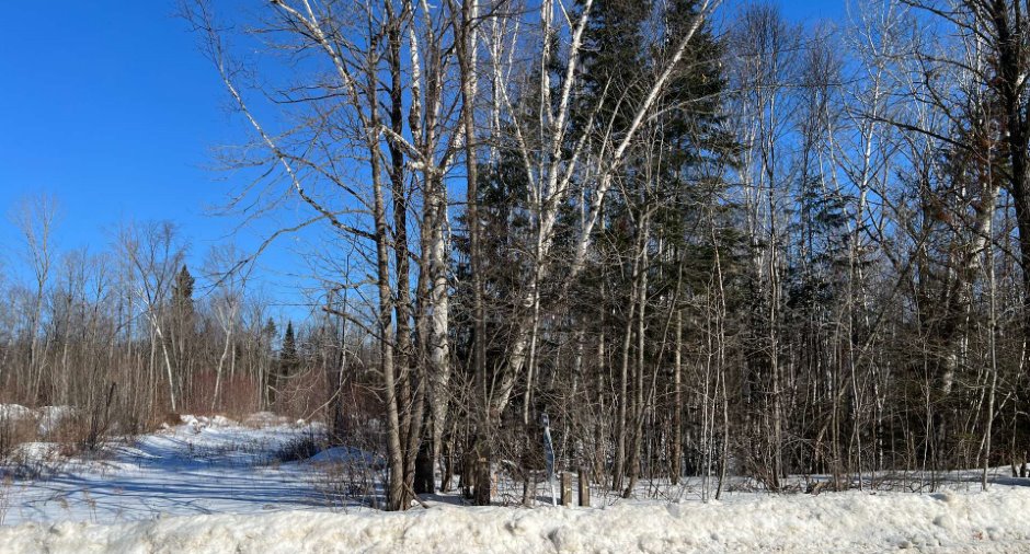 Land/Lot
