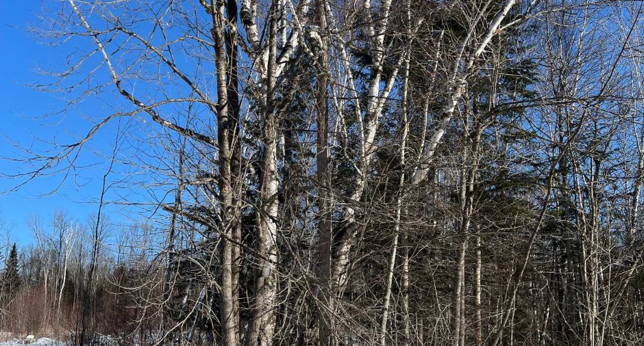 Land/Lot