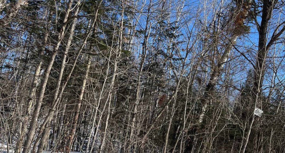 Land/Lot