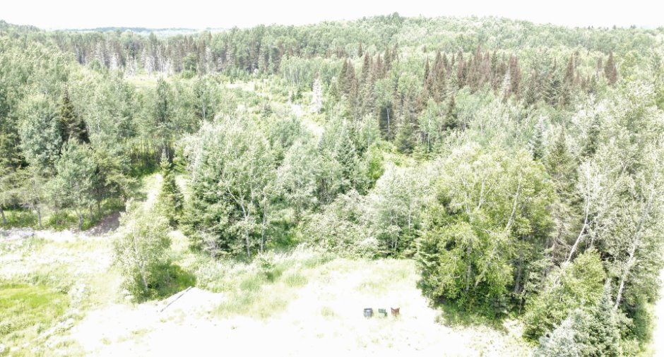 Vue d'ensemble