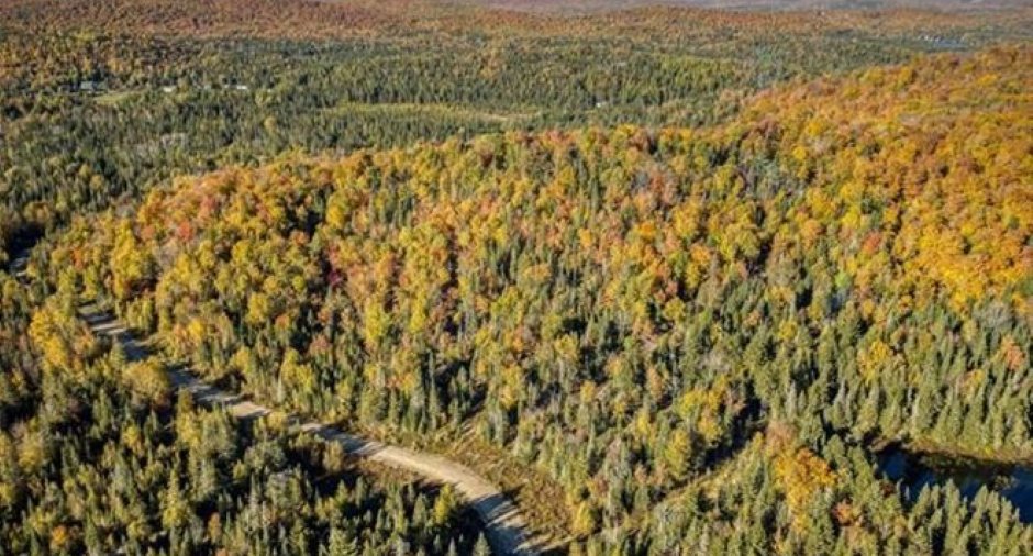 Terre à bois