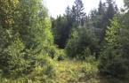Terre/Terrain