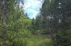 Terre/Terrain