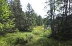 Terre/Terrain