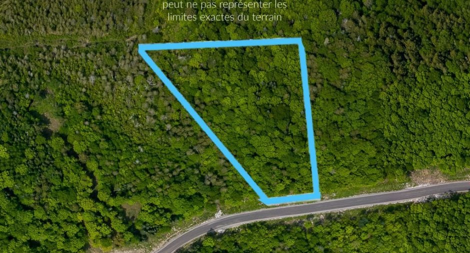 Terre/Terrain