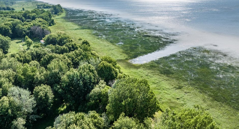 Vue sur l'eau