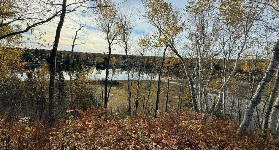 Vue sur l'eau