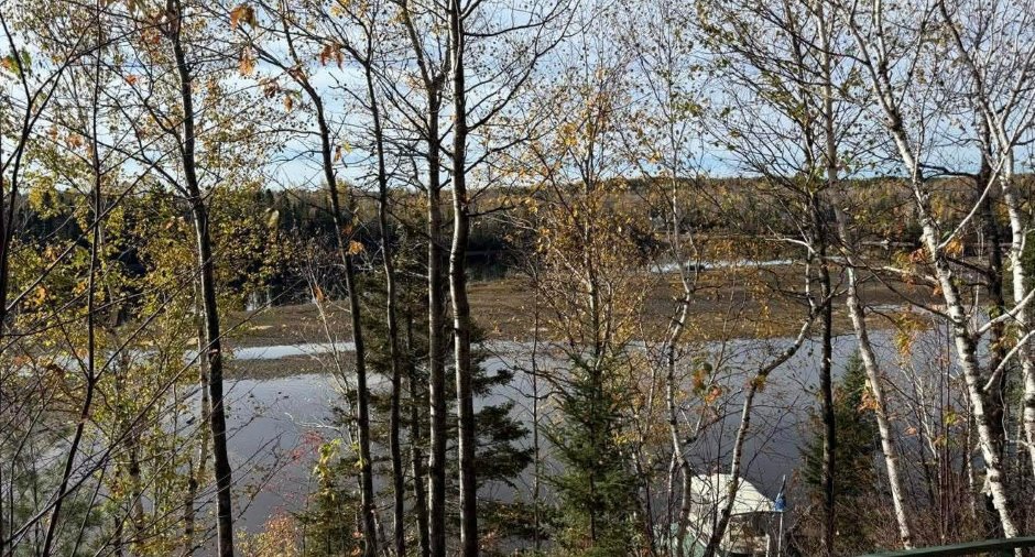 Vue sur l'eau