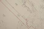 Drawing (sketch)