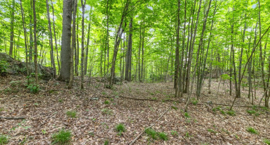 Terre/Terrain