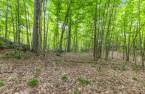 Terre/Terrain