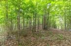 Terre/Terrain