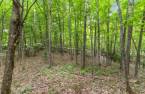 Terre/Terrain