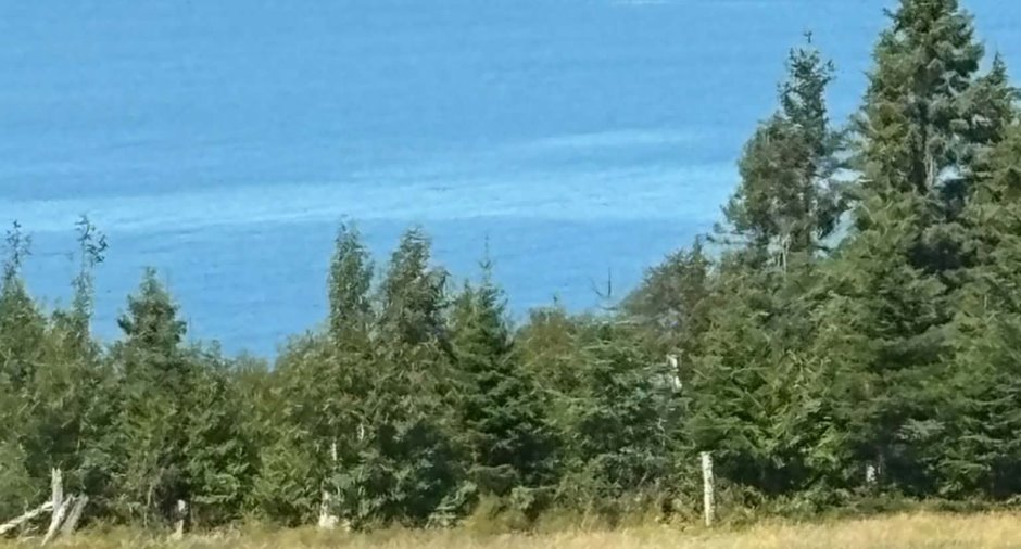 Vue sur l'eau