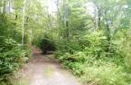 Terre/Terrain