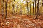 Terre/Terrain