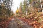 Terre/Terrain