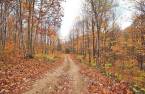Terre/Terrain