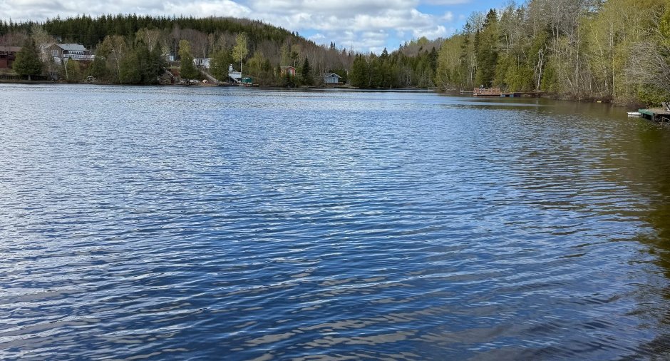 Vue sur l'eau