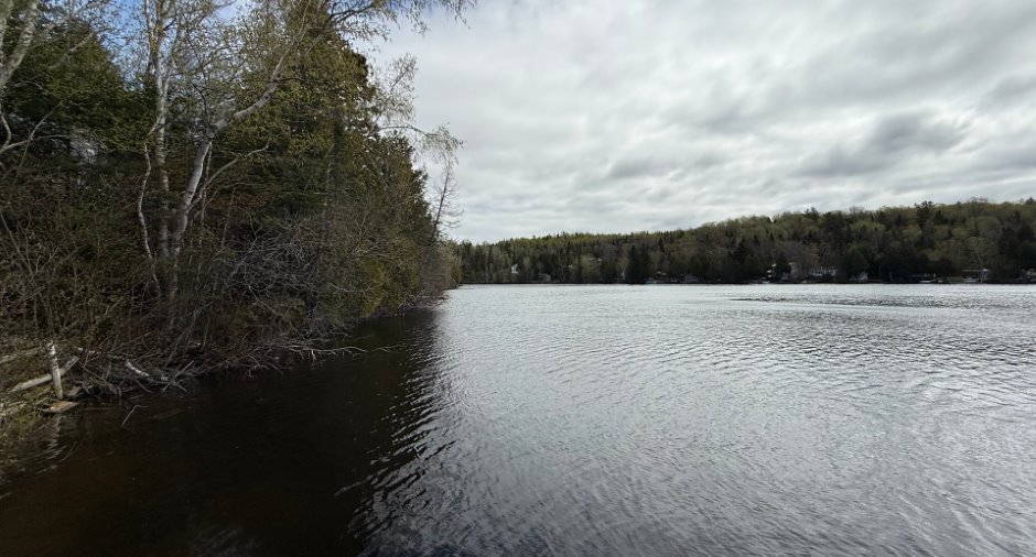 Vue sur l'eau
