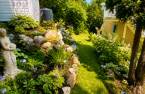 Terre/Terrain