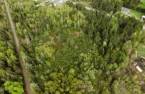 Terre/Terrain