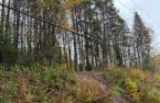 Terre/Terrain