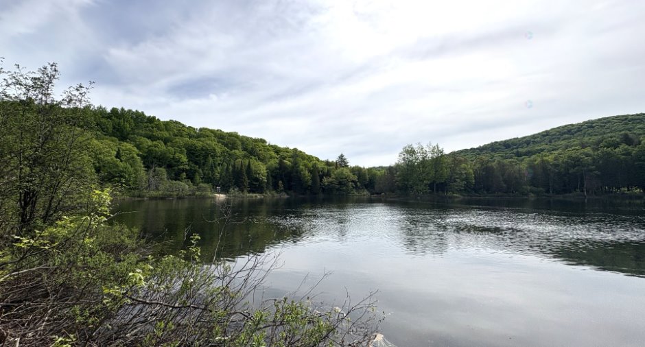 Bord de l'eau