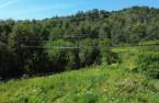 Terre/Terrain