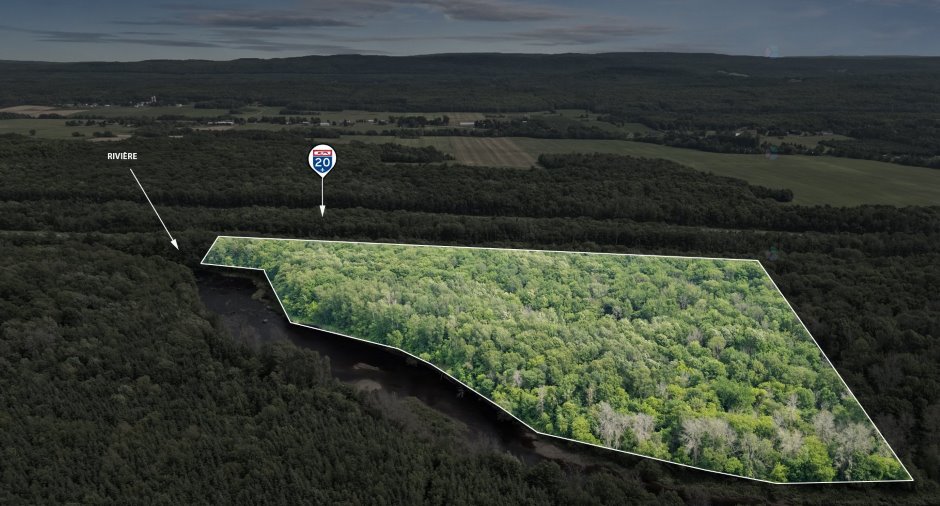 Terre/Terrain