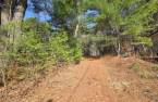 Terre/Terrain
