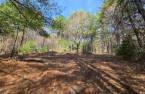 Terre/Terrain