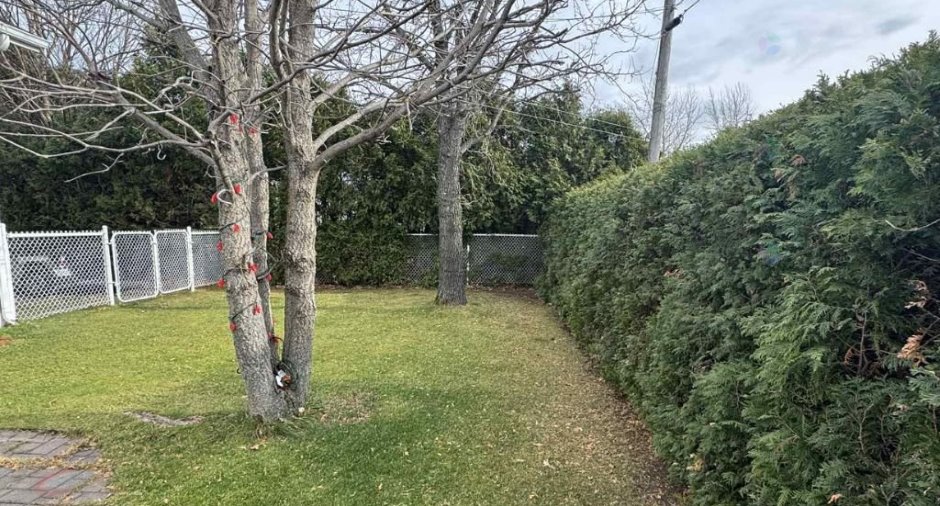 Land/Lot