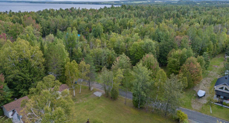 Overall View