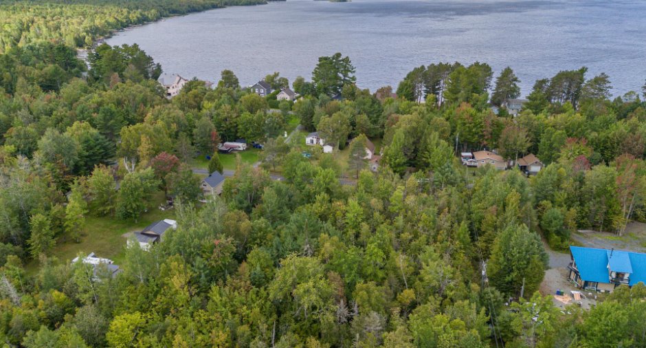 Overall View