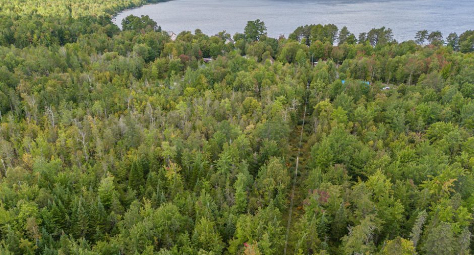Overall View