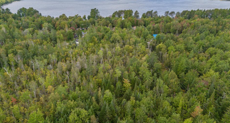 Overall View