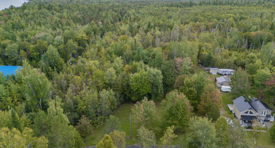 Overall View