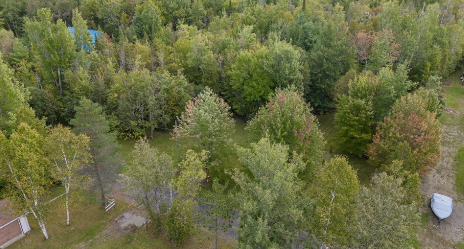 Overall View