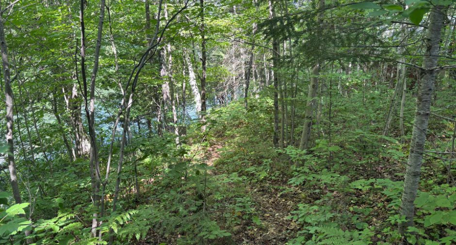 Terre/Terrain