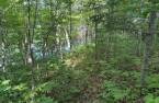 Terre/Terrain