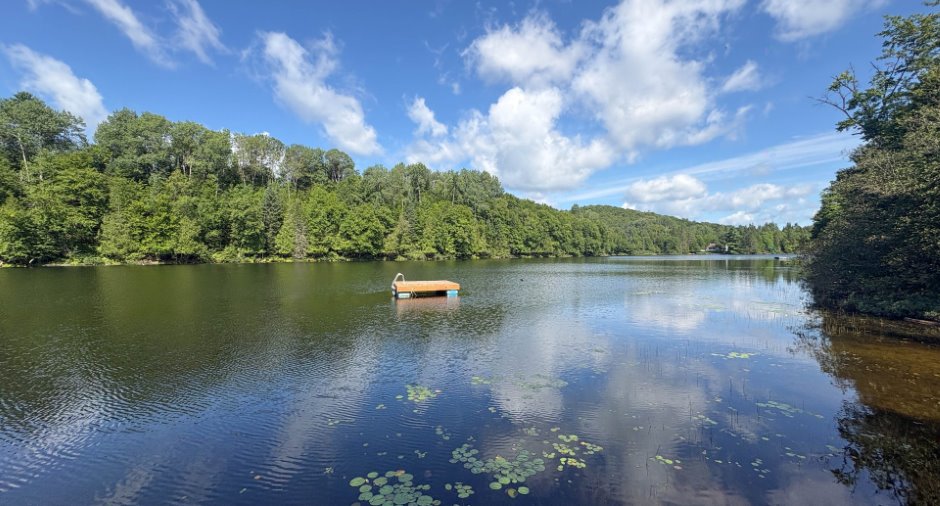 Bord de l'eau