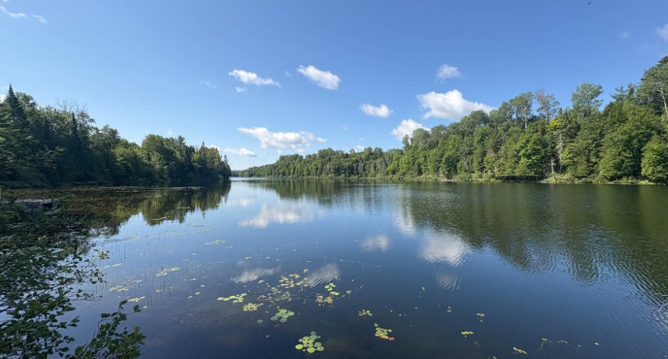 Bord de l'eau