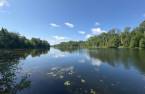 Bord de l'eau