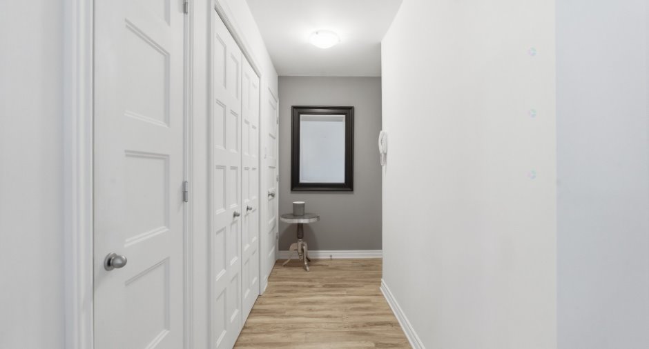 Hall d’entrée/Vestibule