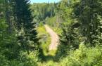 Terre/Terrain
