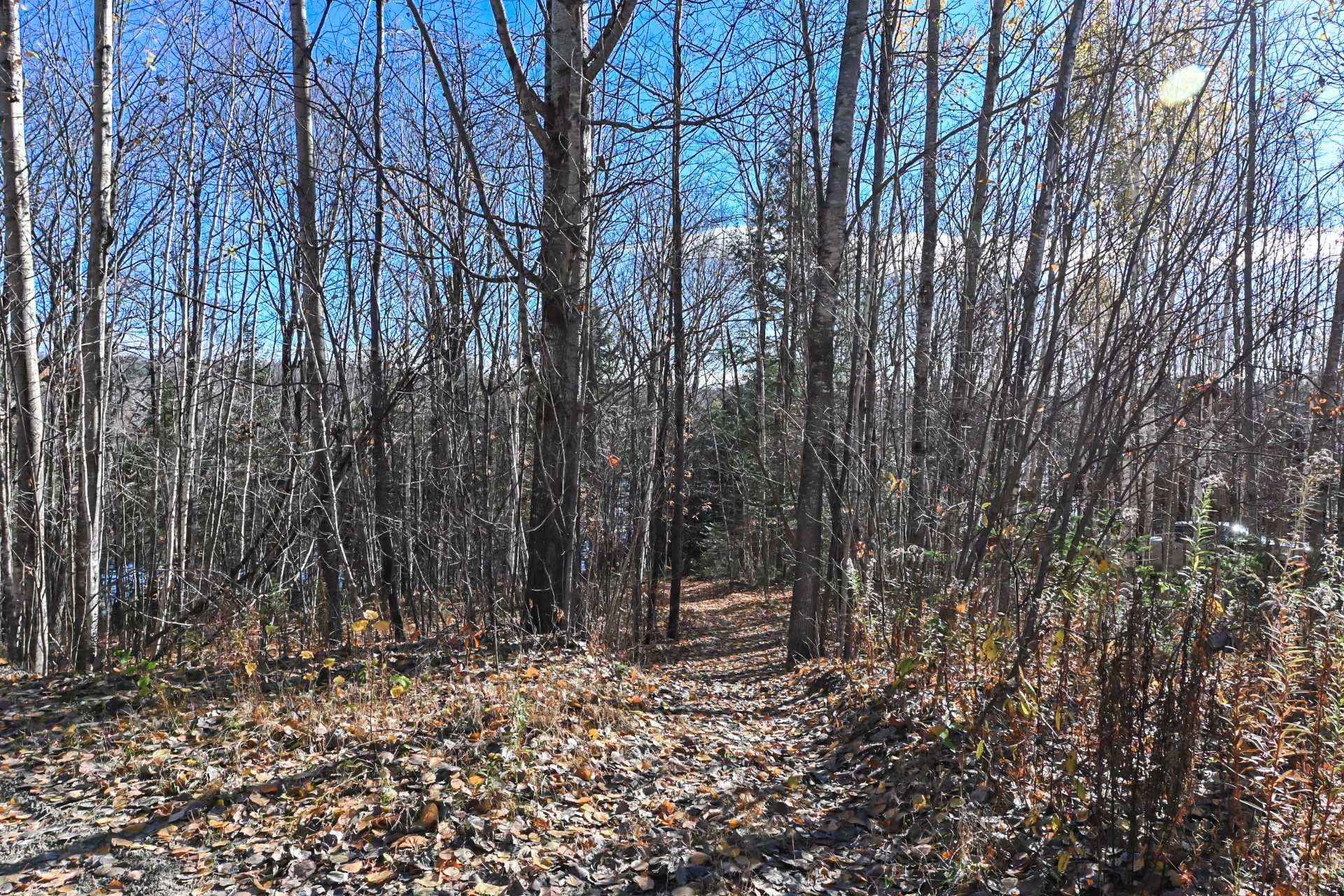 Accès au plan d'eau