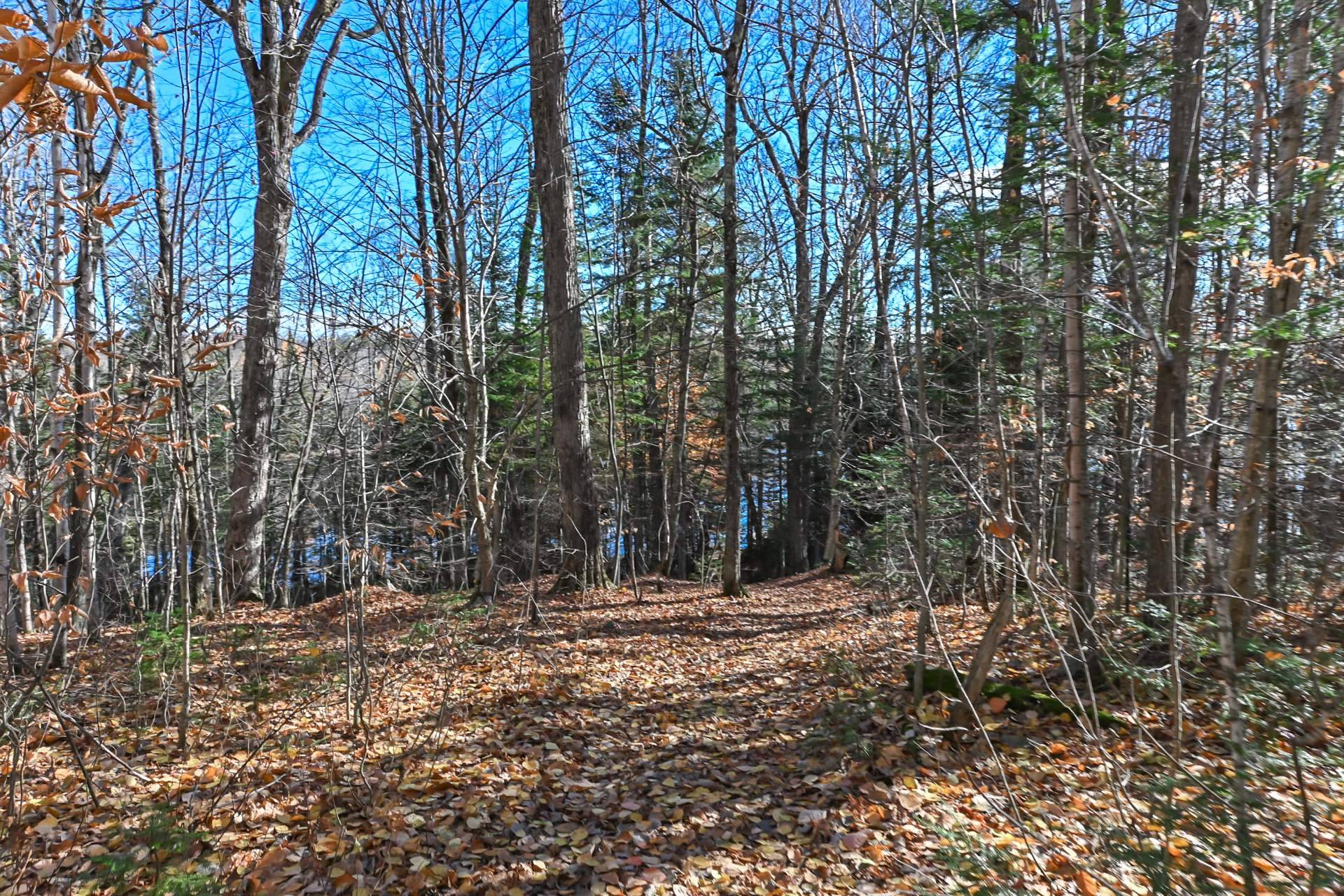 Accès au plan d'eau